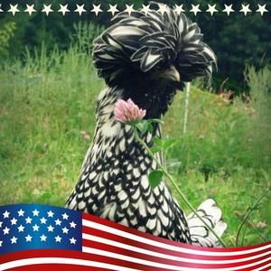 Meet your Posher, Cheryl